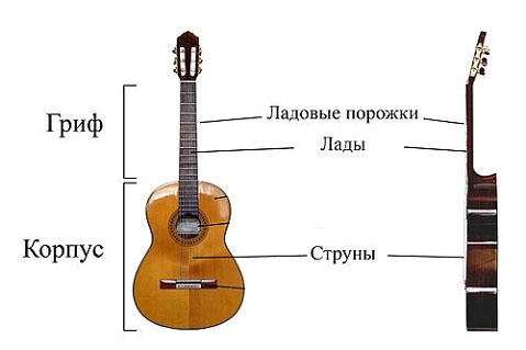 стандартная гитара